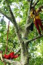 grp liberation des arbres 010 * 4272 x 2848 * (5.49MB)